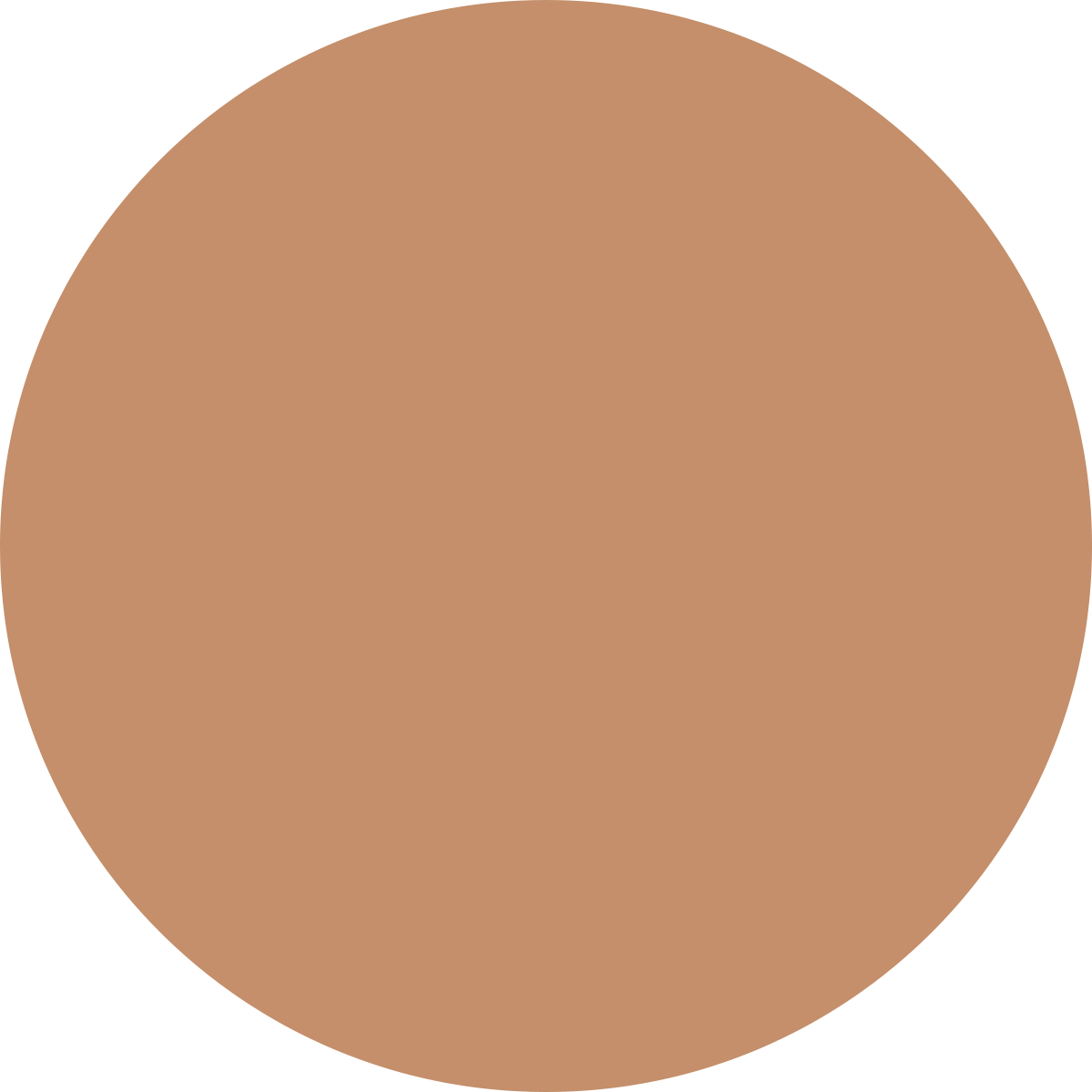 Korean Color Changing Foundation