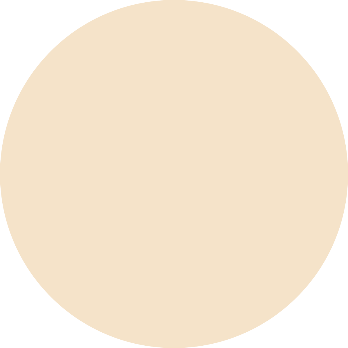 Korean Color Changing Foundation